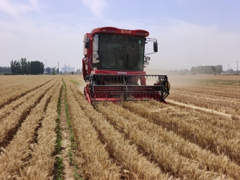 河南安阳内黄：智慧农机显身手 夏粮颗粒尽归仓