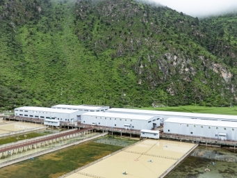 西藏亚东：山高谷深鲑鱼肥